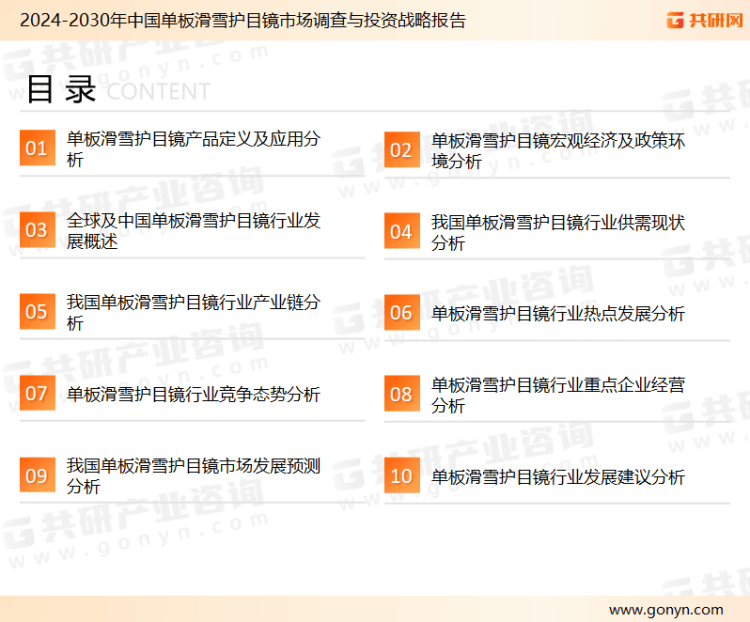 全球单板滑雪护目镜市场调查与投资战略报告(图2)