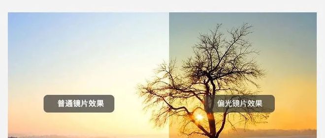 爆款运动偏光眼镜限时89元！有5副镜片还有近视框搭配！眼睛近视的跑友也适合哦(图6)