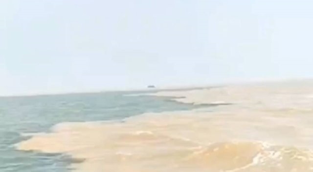 2024(甲辰龙)年“黄河龙”入海祈福活动暨大健康运动联盟取“圣水”仪式举办(图2)