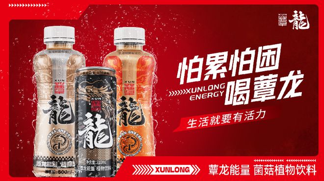 蕈龙携手2024德州运河马拉松共绘健康运动新篇章(图3)