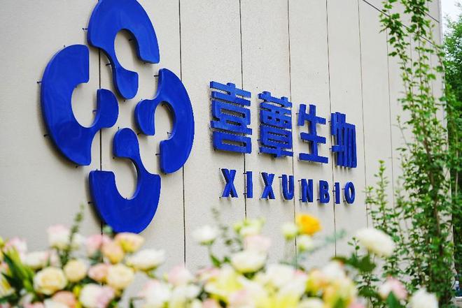 蕈龙携手2024德州运河马拉松共绘健康运动新篇章(图9)