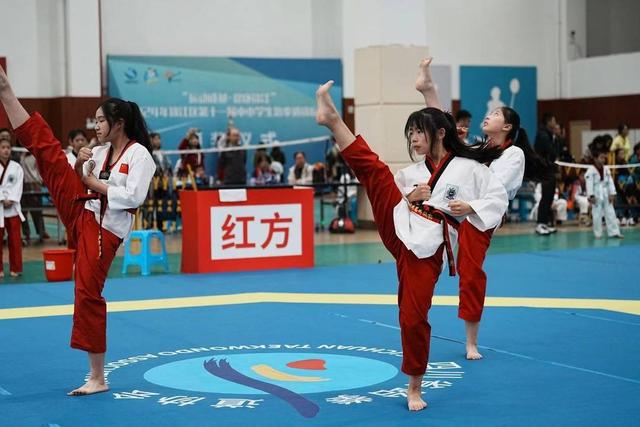 340余名运动员参赛2024年锦江区第十一届中小学生跆拳道锦标赛落幕(图2)