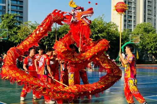 精彩无限！成都师范附属小学三圣分校2024年秋季运动会“燃”动秋日(图6)