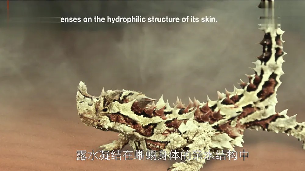 叫板始祖鸟的“高富帅”劲敌背后有个中国高人(图7)