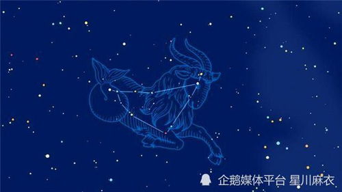 水瓶星座身体运势如何（水瓶的星座运势）(图1)
