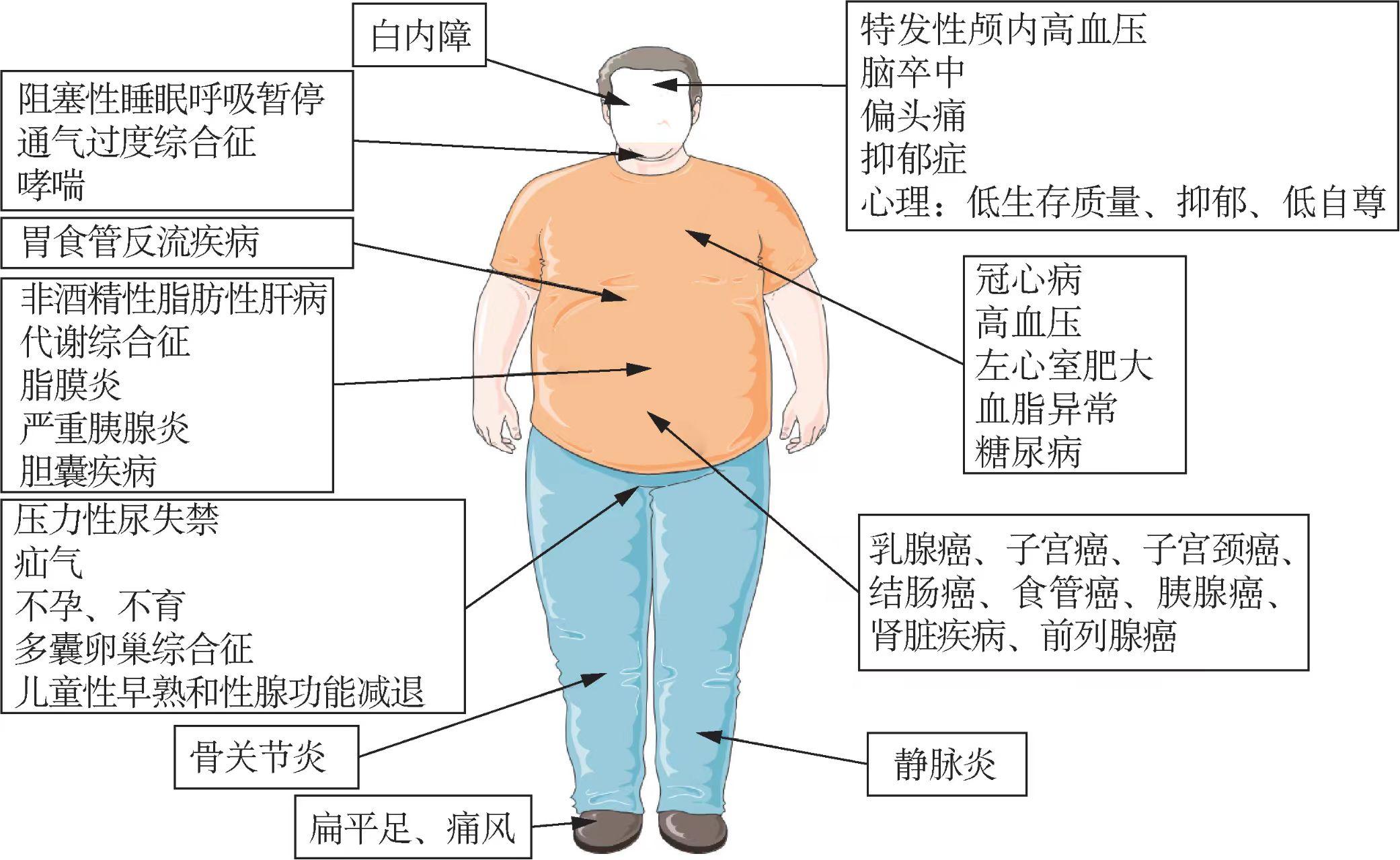 《肥胖症的运动干预：理论与实践》出版构建运动干预肥胖新范式(图2)
