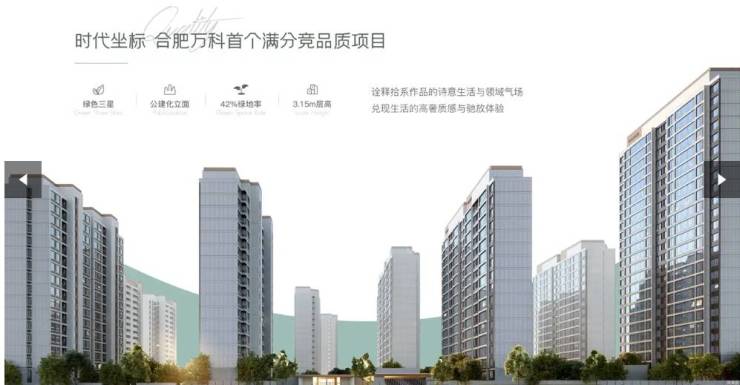 合肥长丰最新在售楼盘-2025年全新房价-长丰新楼盘(图3)